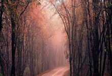 冲刺终点：自行车选手夺冠欢呼