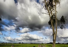 浴火重生:蝴蝶泳选手敢战善战,华丽蝶变