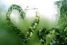 德国队经历惊险大战，最终力克英格兰